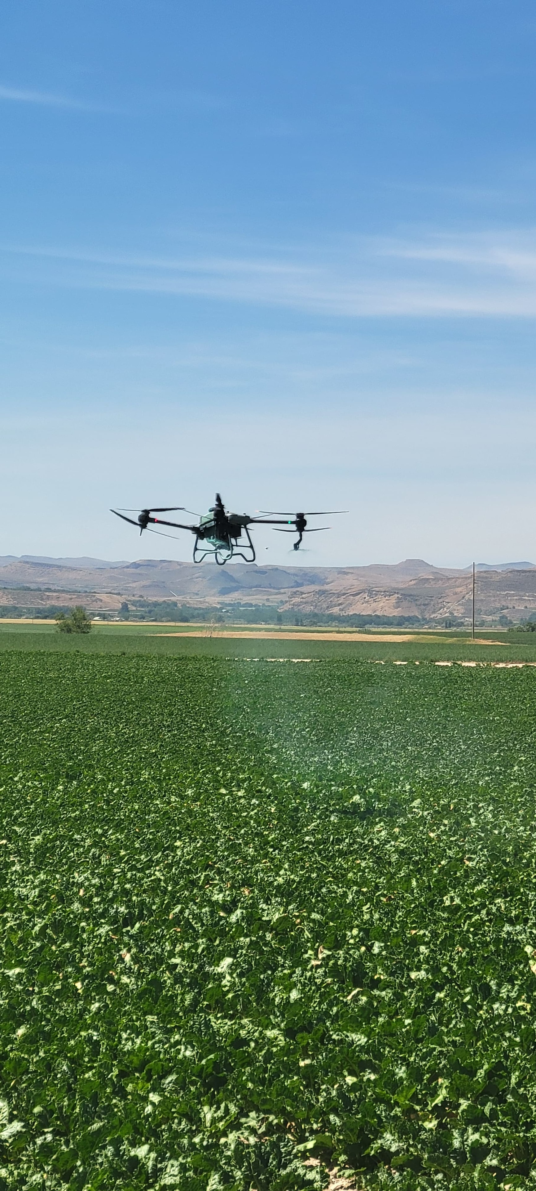 Drone operator in the field